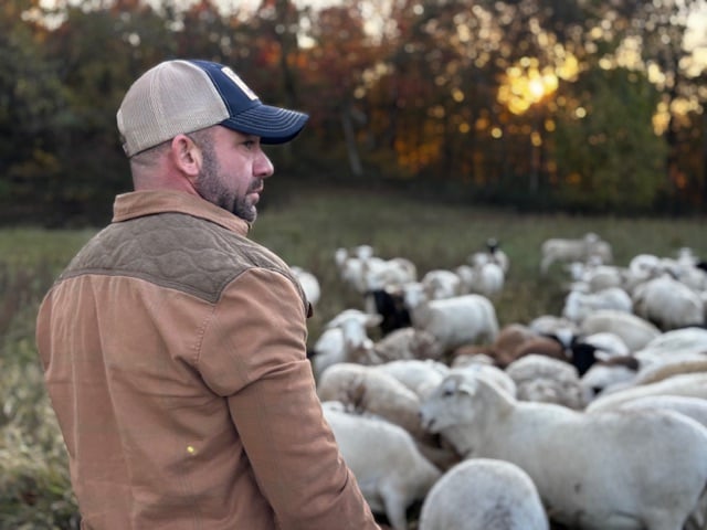 Nathan D. Williams with sheep